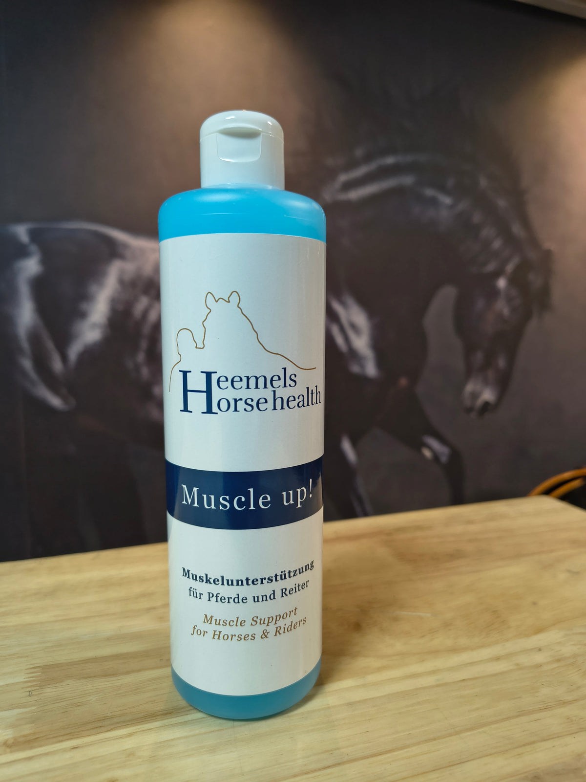 Horse Care