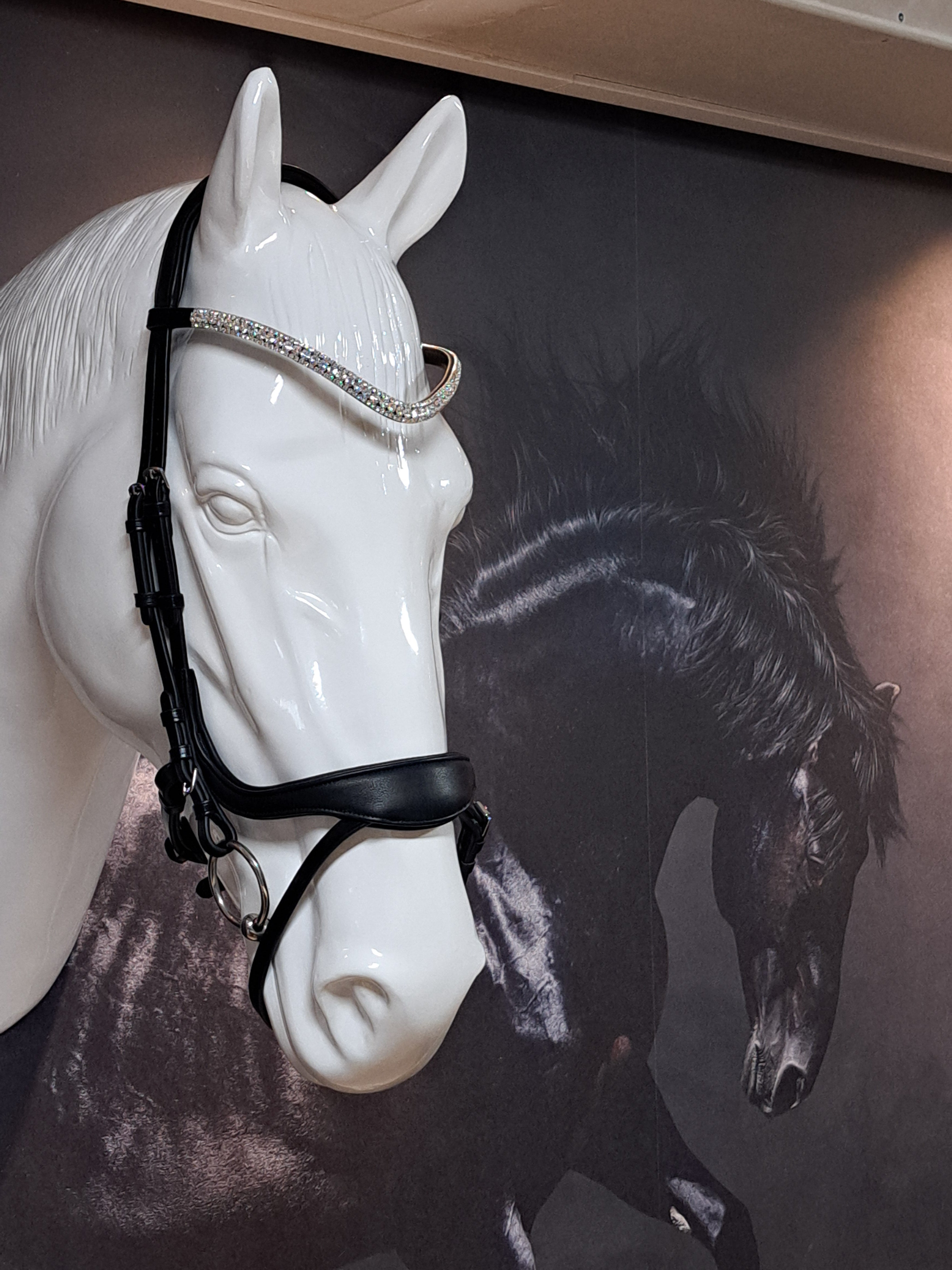 My Elite Tack Zachte Anatomische Dressuurneusriem | Optimaal comfort voor paard & ruiter