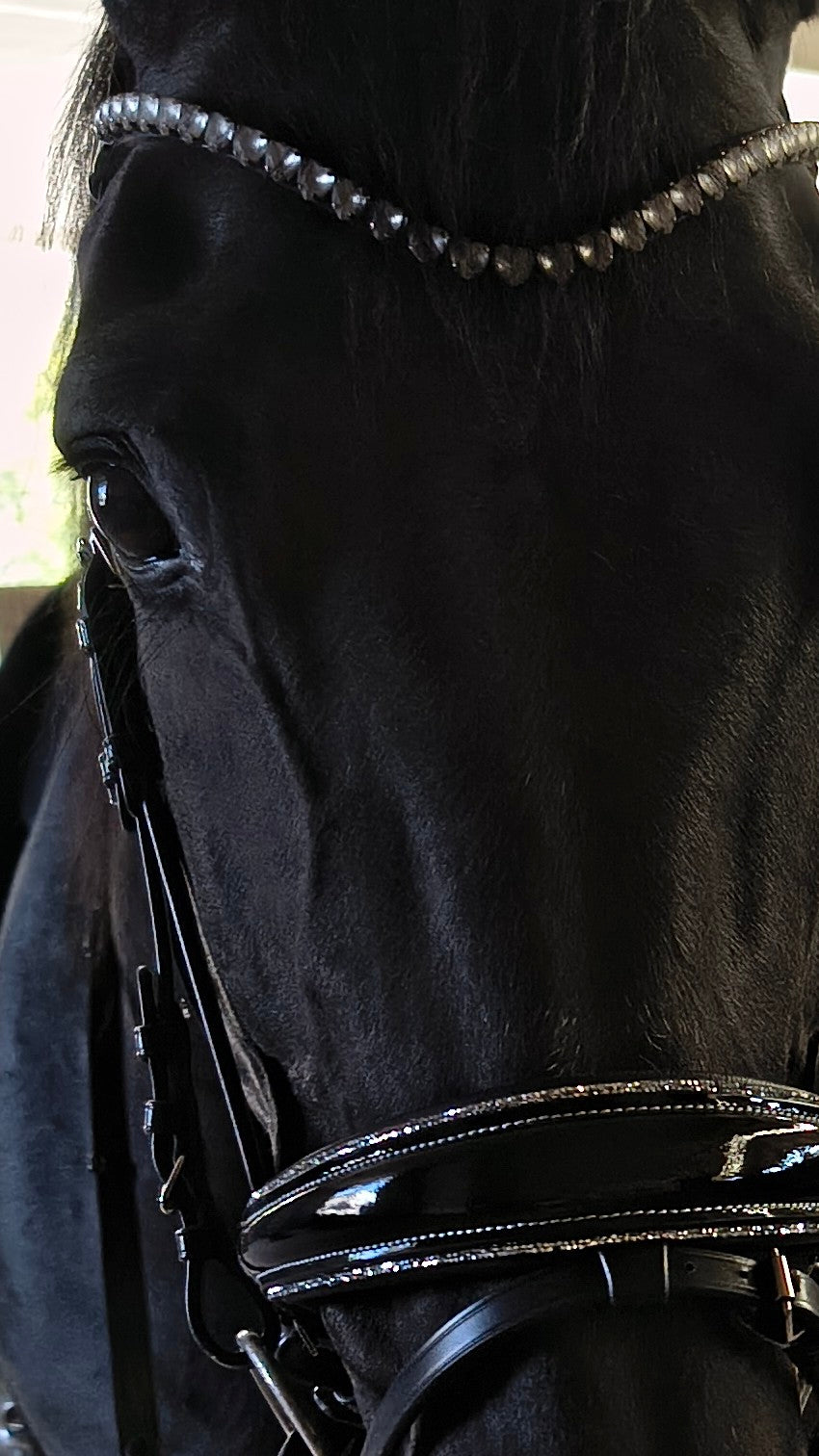 My Elite Tack Bridle builder