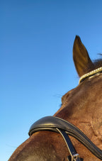 My Elite Tack Zachte Anatomische Dressuurneusriem | Optimaal comfort voor paard & ruiter