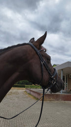 My Elite Tack Kopstuk Classic Fit
