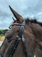 My Elite Tack Frontriem Light Amethyst
