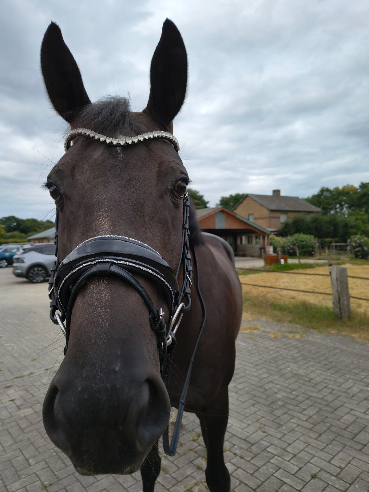 My Elite Tack Classic fit hoofdstel met gecombineerde neusriem Patent/Clear Crystal Glitter