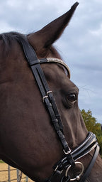 My Elite Tack Precisionfit hoofdstel met combinatie neusriem