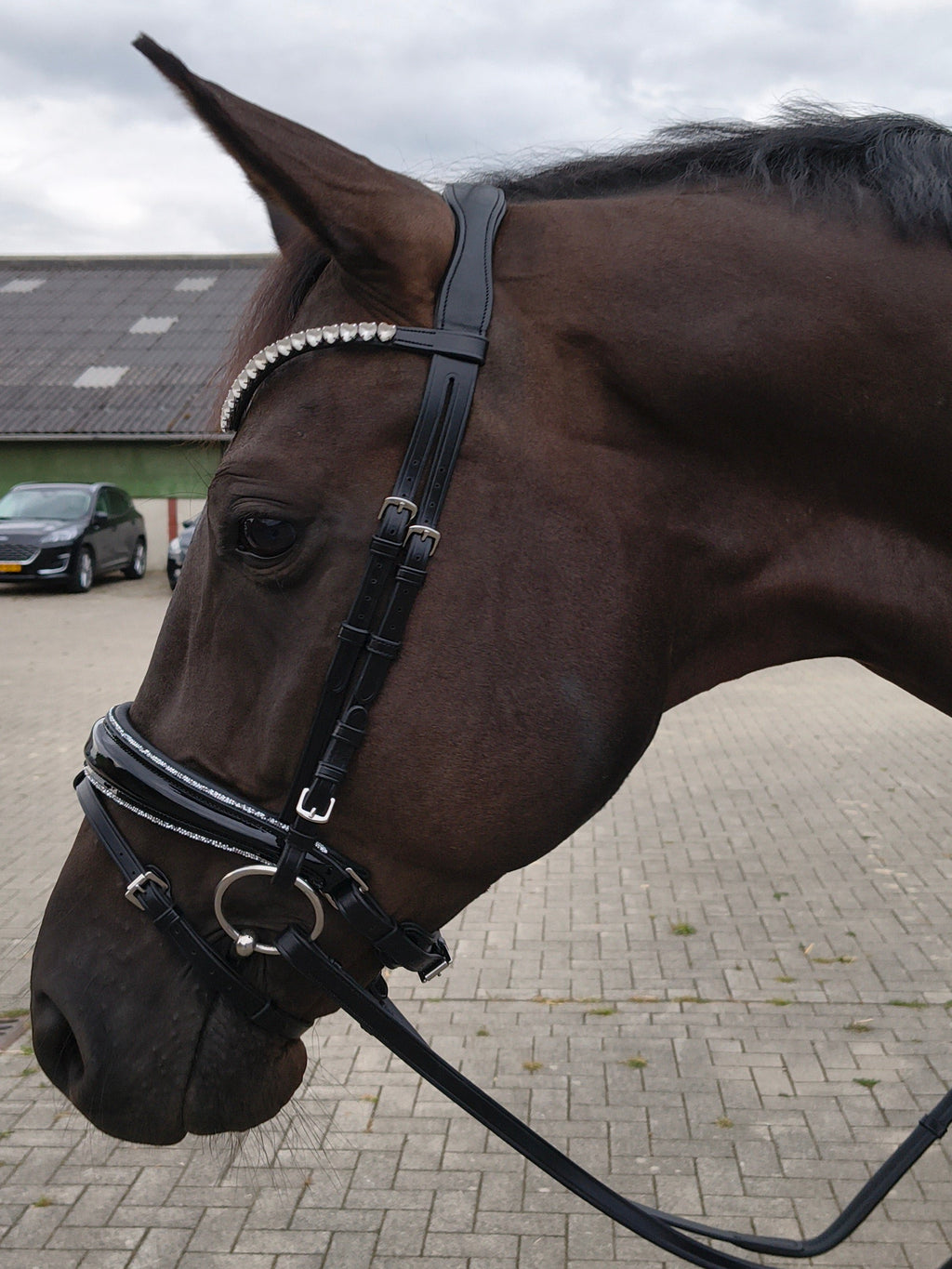 My Elite Tack Kopstuk Precision Fit