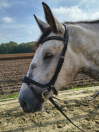 My Elite Tack Zachte Anatomische Dressuurneusriem | Optimaal comfort voor paard & ruiter