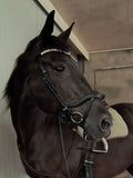 My Elite Tack Precisiefit hoofdstel met zachte anatomische neusriem