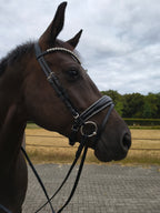 My Elite Tack Gecombineerde Conische Neusriem | Helder Crystal Glitter | Patent details