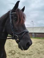 My Elite Tack Frontriem U-vorm met hartsteentjes
