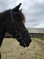 My Elite Tack Frontriem U-vorm met hartsteentjes