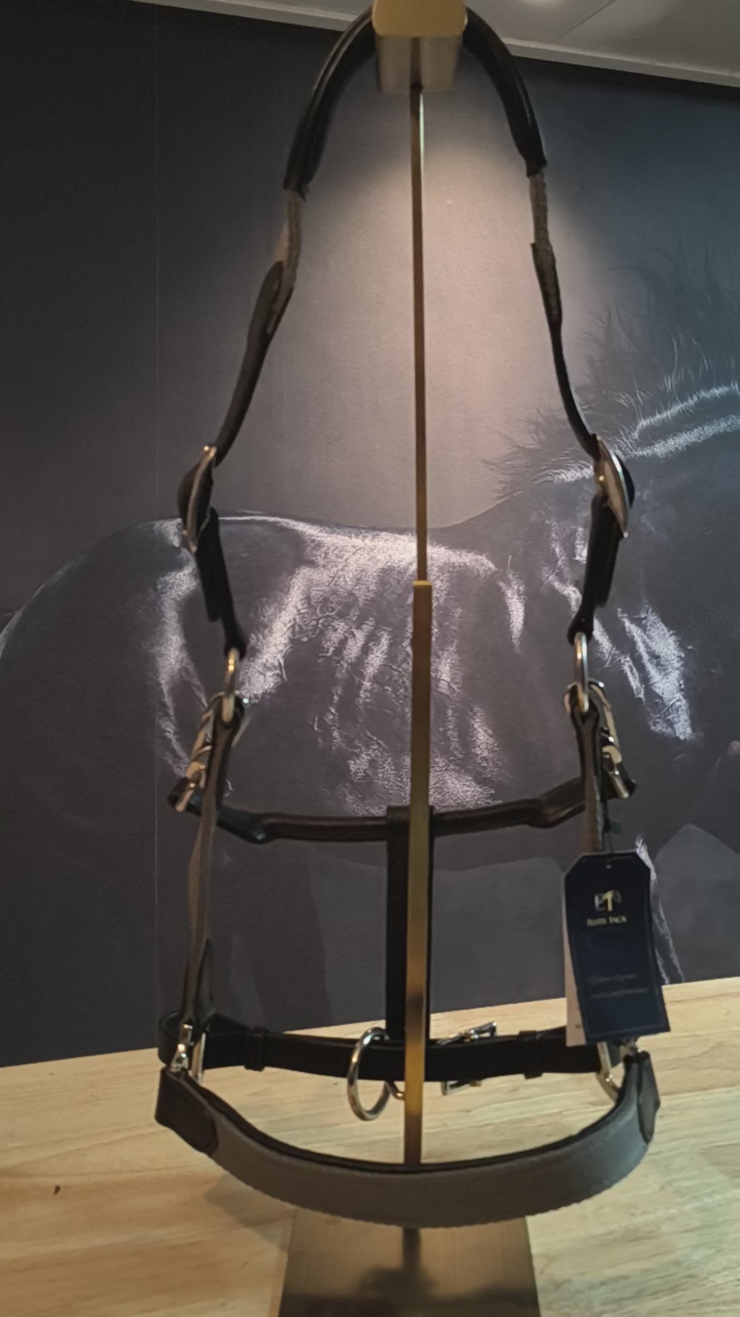 My Elite Tack Urban Classic Grooming Halster