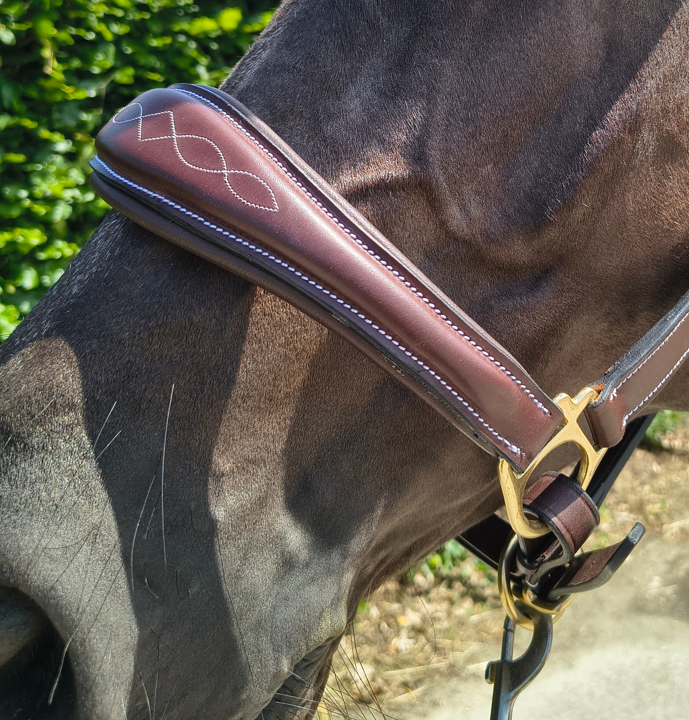 My Elite Tack Heritage Classic Luxe Grooming Halster