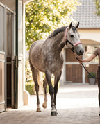 My Elite Tack Unicorn Halster