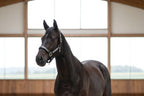 My Elite Tack Urban Classic Grooming Halster