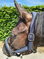 My Elite Tack Midnight Suede Luxe Halster – Navy & Gun Metal Edition