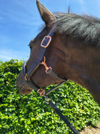 My Elite Tack Midnight Suede Luxe Halster – Navy & Rose Gold Edition