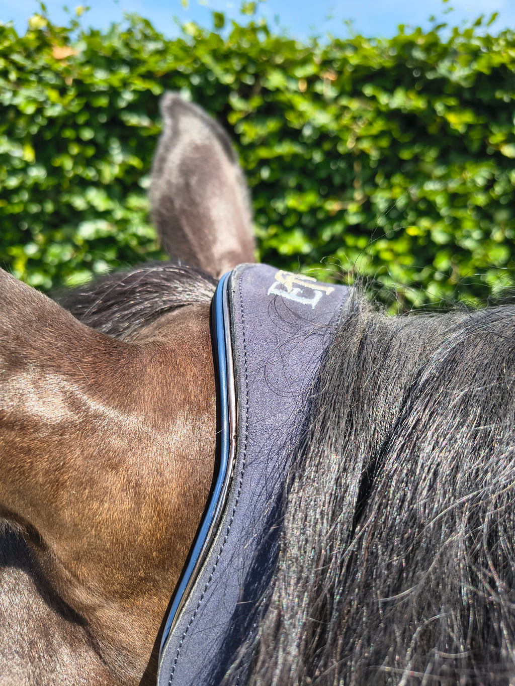 My Elite Tack Midnight Suede Luxe Halster – Navy & Gun Metal Edition