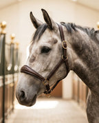 My Elite Tack Heritage Classic Luxe Grooming Halster