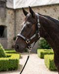 My Elite Tack Urban Classic Grooming Halster